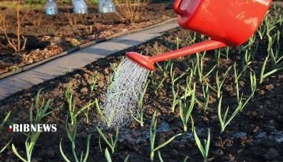 رونق تولید و اشتغال با 