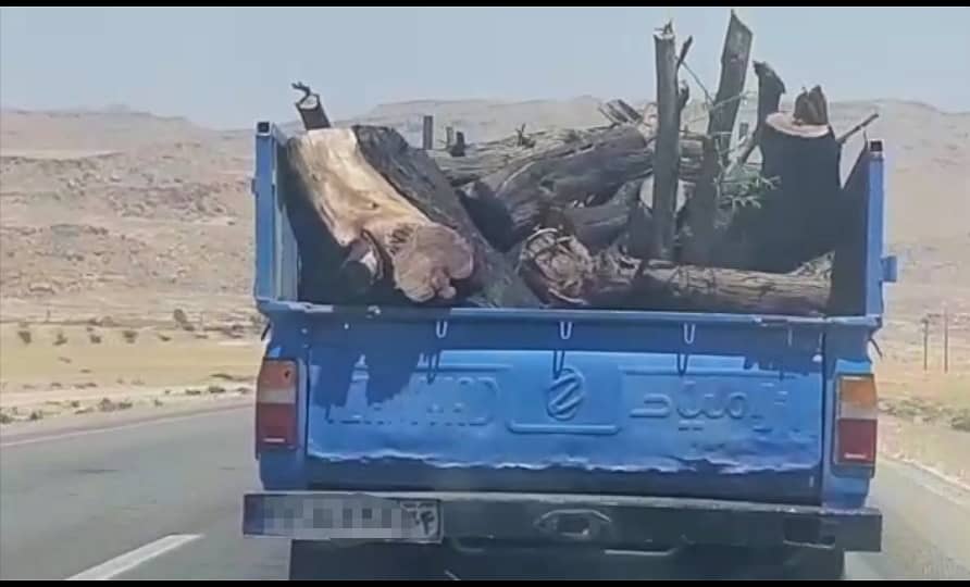 شناسایی عوامل قطع درختان منطقه کرائی شوشتر شناسایی عوامل قطع درختان منطقه کرائی شوشتر