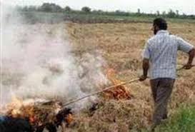 برخورد جدی با کشاورزان کلش سوز برخورد جدی با کشاورزان کلش سوز