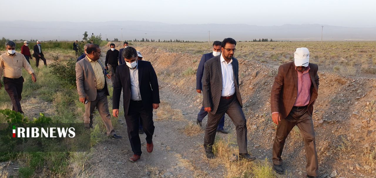 آلودگی ۶۰ هزار هکتار از اراضی کشاورزی به ملخ صحرایی آلودگی ۶۰ هزار هکتار از اراضی کشاورزی به ملخ صحرایی