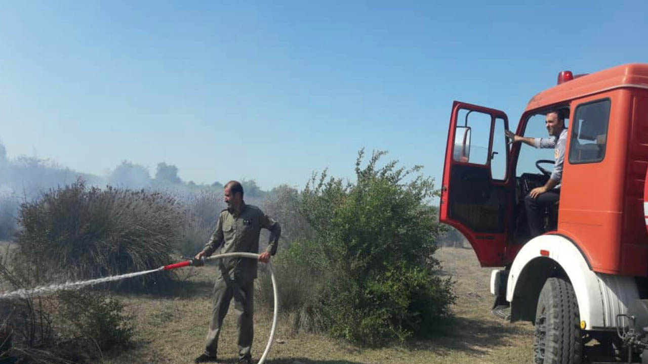 آتش باز هم دامن میانکاله را گرفت