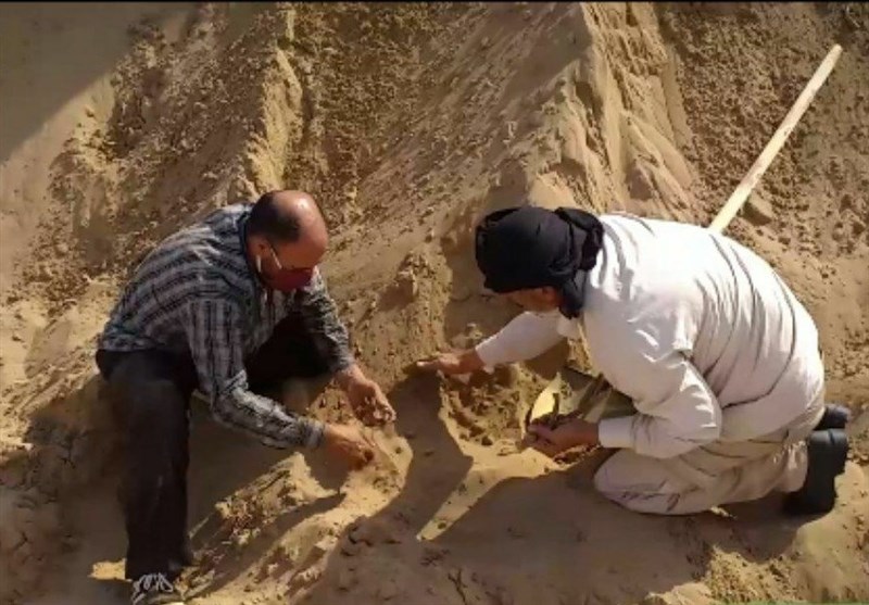 کشف پیکر مطهر یک شهید دفاع مقدس در فکه کشف پیکر مطهر یک شهید دفاع مقدس در فکه