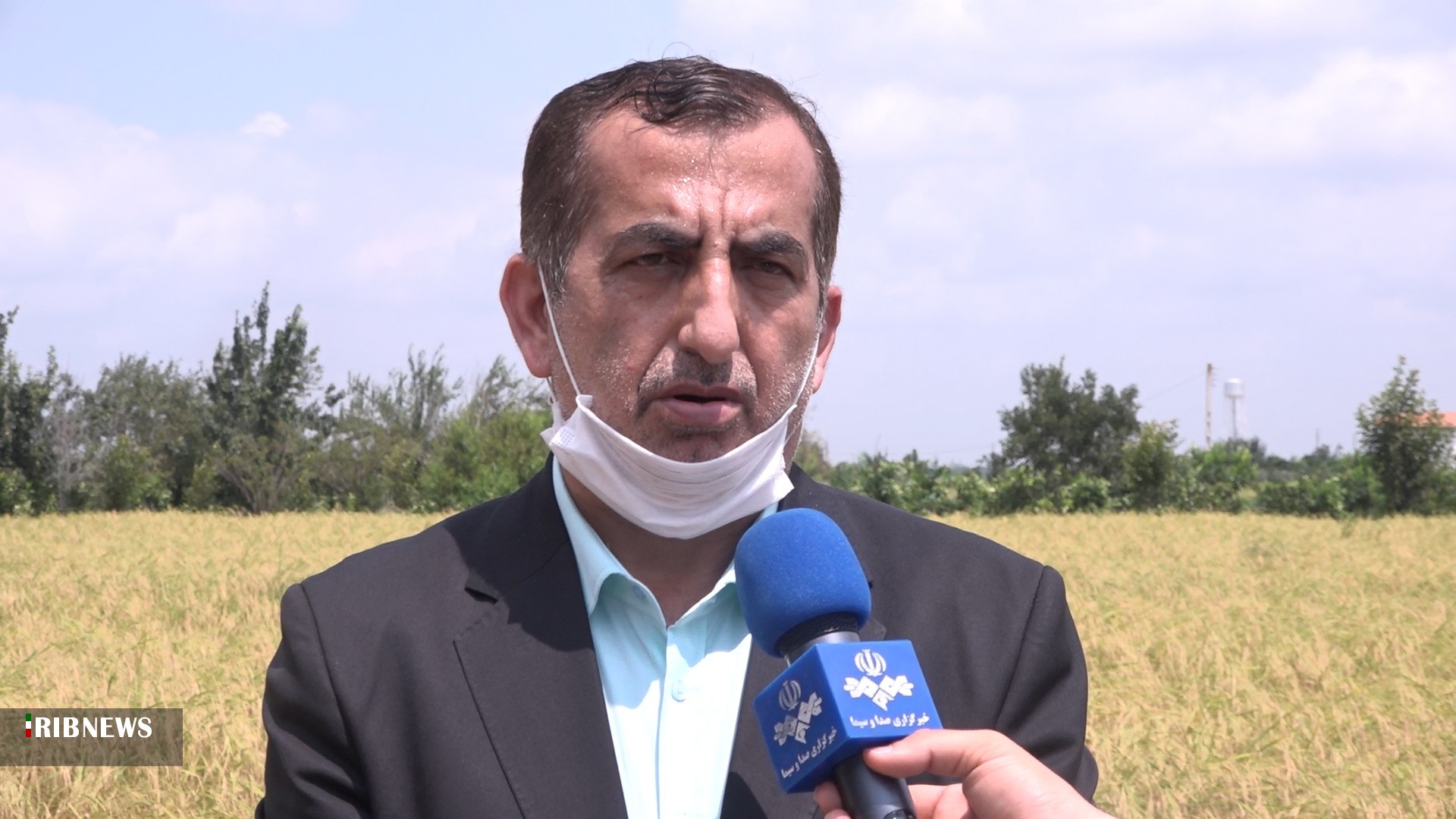 آغاز برداشت مکانیزه برنج در مازندران آغاز برداشت مکانیزه برنج در مازندران