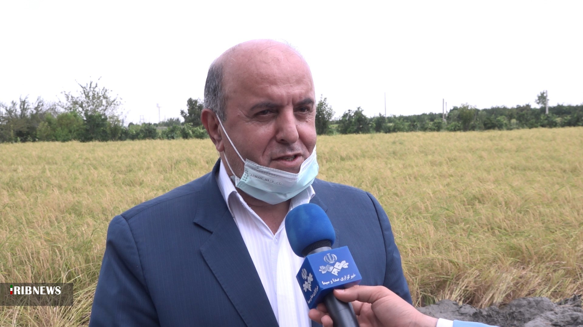 آغاز برداشت مکانیزه برنج در مازندران