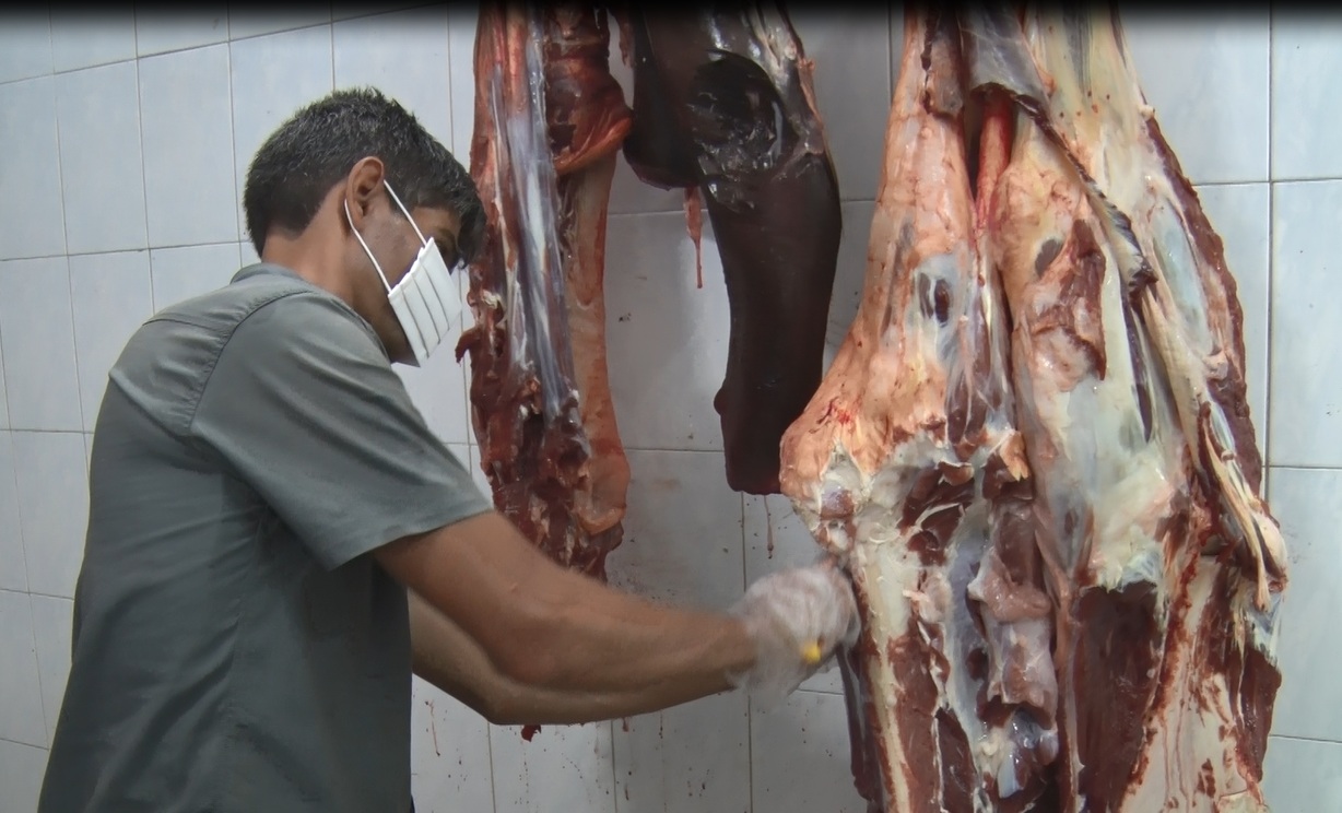 توزیع ۳۰۰ بسته گوشت بین نیازمندان میبدی توزیع ۳۰۰ بسته گوشت بین نیازمندان میبدی