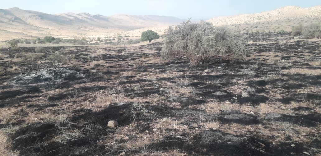 شعلههای اتش این بار در منطقه فیروزآباد شعلههای اتش این بار در منطقه فیروزآباد