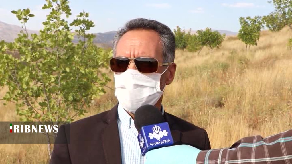 موفقیت پرورش  پسته در خلخال