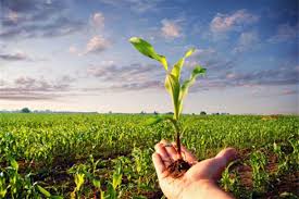 حضور ۲۴۲ فناور در رویداد مجازی معرفی نیازهای فناورانه کشاورزی حضور ۲۴۲ فناور در رویداد مجازی معرفی نیازهای فناورانه کشاورزی