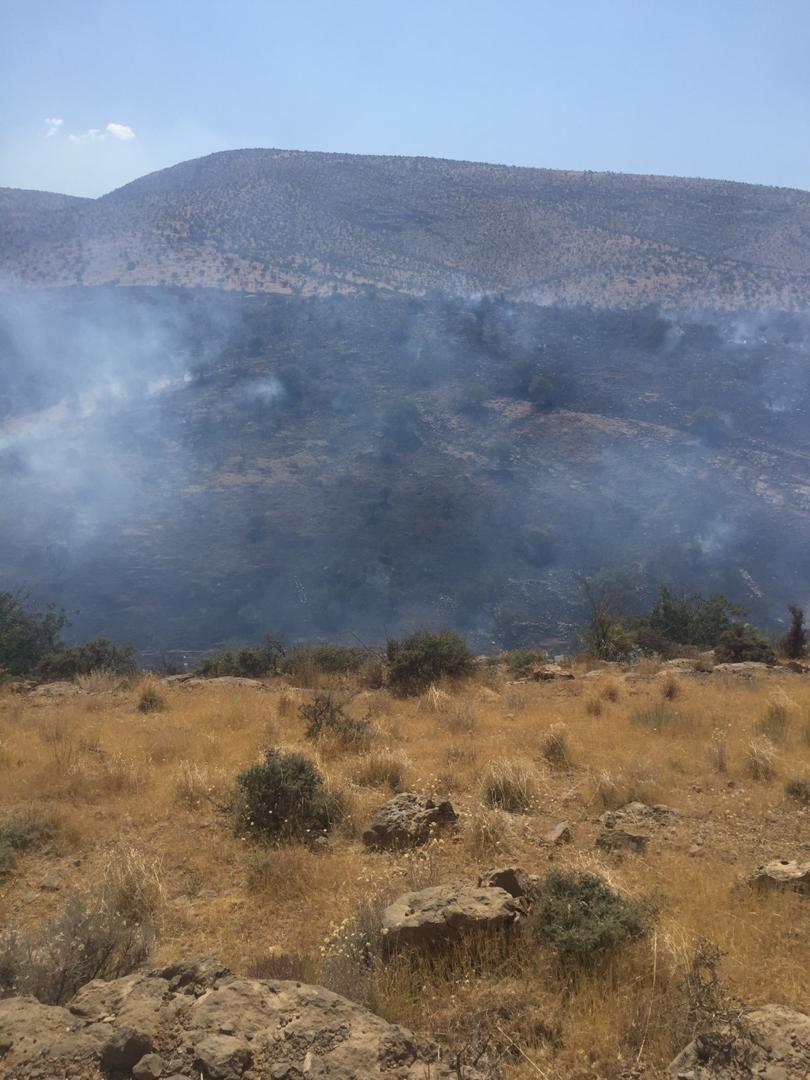 آتش در جنگل بُناب ارسنجان زبانه میکشد. آتش در جنگل بُناب ارسنجان زبانه میکشد.