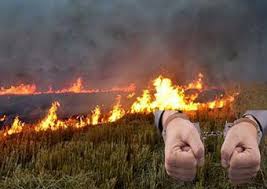 کاه و کلش، سرمایه ای که می سوزانیم!