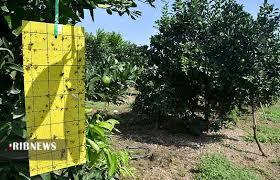 خلاصه مهم‌ترین خبر‌های امروز فارس