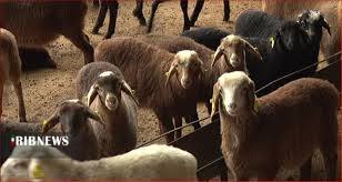 خلاصه مهم‌ترین خبر‌های امروز فارس