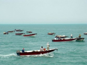 احیای ظرفیتهای صیادی بندر ماهشهر احیای ظرفیتهای صیادی بندر ماهشهر