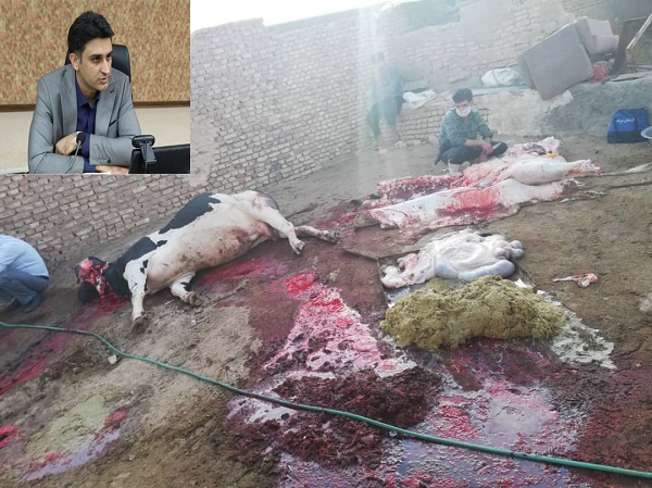 مراکز نگهداری غیر مجاز دام در یزد جمع آوری میشوند مراکز نگهداری غیر مجاز دام در یزد جمع آوری میشوند