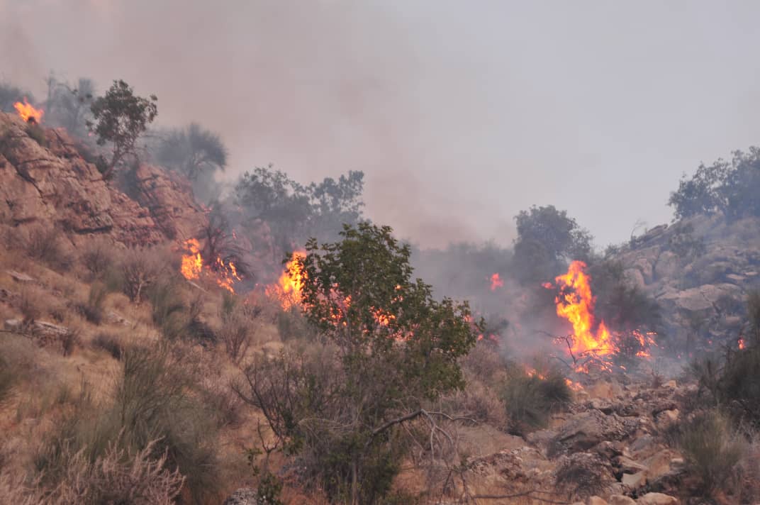 خط آتش در ارتفاعات تنگ کله قیروکارزین