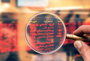 راز و فرودهای بورس و پیامهایی که باید شنیده شود راز و فرودهای بورس و پیامهایی که باید شنیده شود