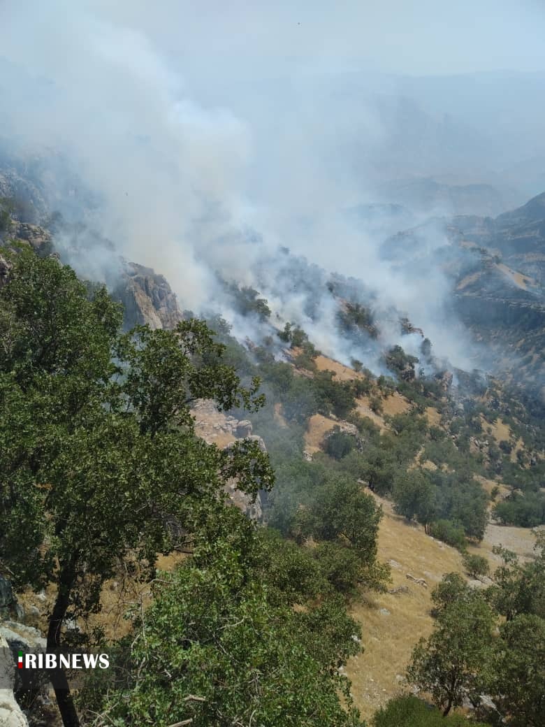 آتش سوزی دست بردار جنگلهای اندیکا نیست آتش سوزی دست بردار جنگلهای اندیکا نیست