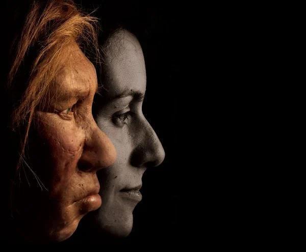 رموز حلنشده انسانهای اولیه رموز حلنشده انسانهای اولیه