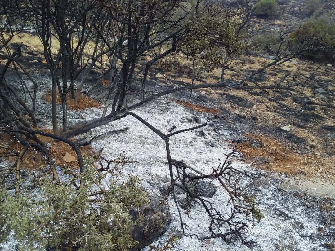 خسارت اتش در ارتفاعات افزر قیروکارزین خسارت اتش در ارتفاعات افزر قیروکارزین