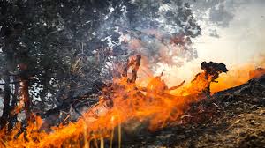 تاخت و تاز آتش در سرمایه‌های طبیعی خوزستان