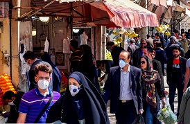 تاخت و تاز جهانگرد کوچک در سایه غفلت مردم...