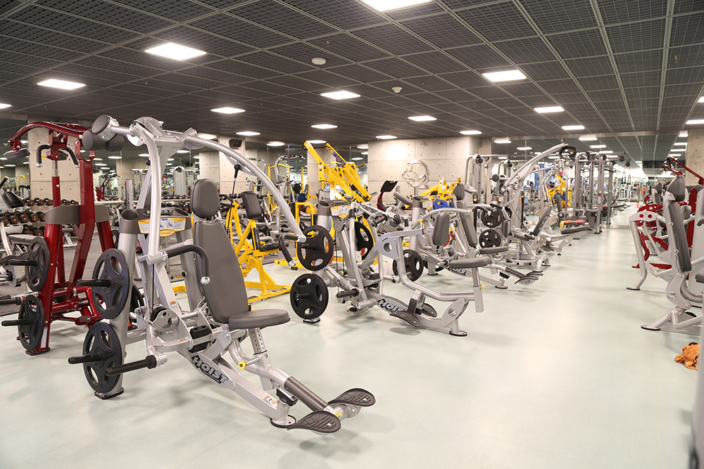 راه اندازی سایت تخصصی رشته بدنسازی در یزد راه اندازی سایت تخصصی رشته بدنسازی در یزد