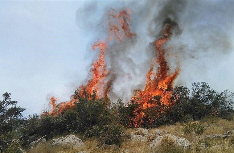 آتش سوزی بیش از ۳۰ هکتار از جنگلهای شهر پاتاوه