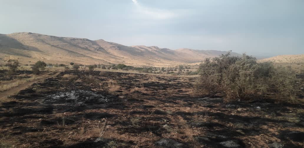 با سرعت عمل و اقدام به موقع نیروهای امدادی