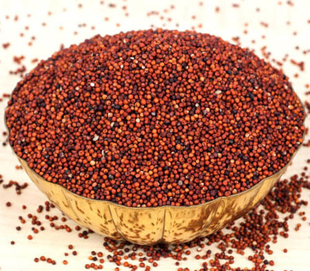 غذا‌های حاوی کلسیم
