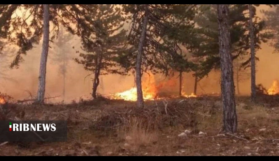 اقتصاد به روایت تصاویر در ۱۰ شهریور ۹۹