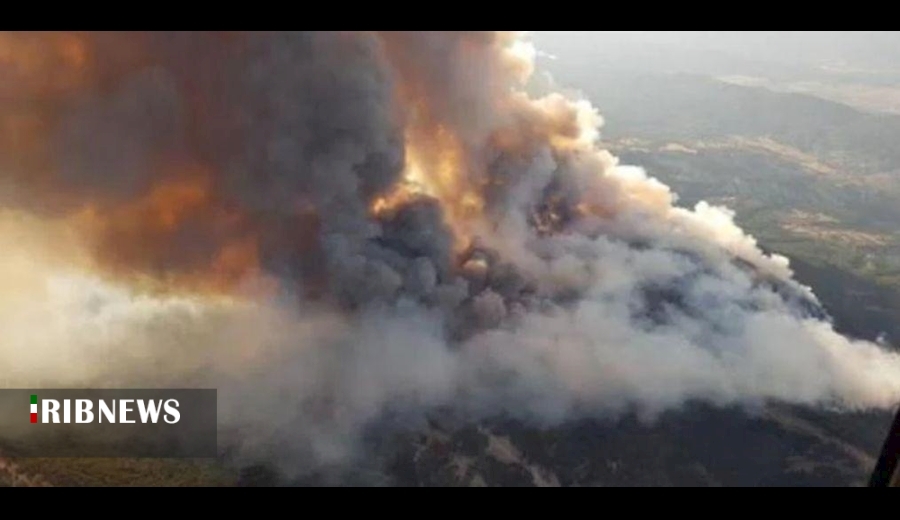 اقتصاد به روایت تصاویر در ۱۰ شهریور ۹۹