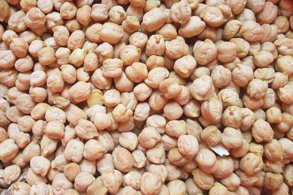 نخود کشاورزان در انبارها خاک میخورد؛ بازار واردات همچنان داغ است نخود کشاورزان در انبارها خاک میخورد؛ بازار واردات همچنان داغ است