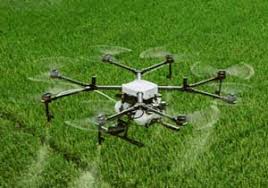 سمپاشی مزارع کنجد بخش دهرم سمپاشی مزارع کنجد بخش دهرم