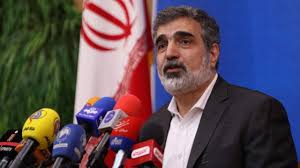 گزارش های پادامانی و برجامی آژانس خاتمه یابد گزارش های پادامانی و برجامی آژانس خاتمه یابد