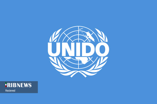 یونیدو به یاری هنرمندان صنایع دستی استان میآید یونیدو به یاری هنرمندان صنایع دستی استان میآید