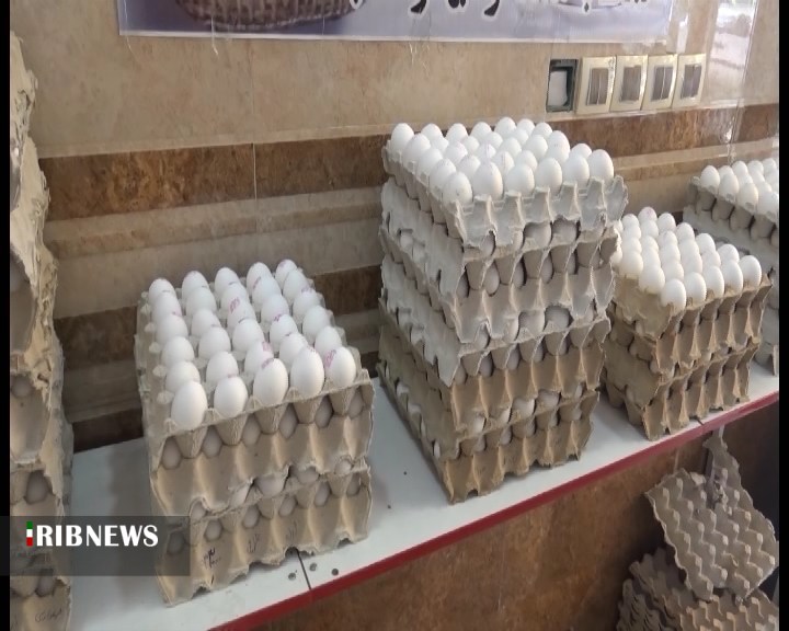 تداوم افزایش قیمت تخم مرغ