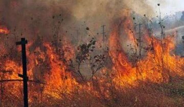 خسارت میلیاردی آتش سوزی مراتع سبزدشت بافق خسارت میلیاردی آتش سوزی مراتع سبزدشت بافق
