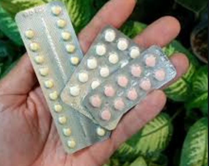 نکاتی کاربردی برای نگهداری از گل و گیاه