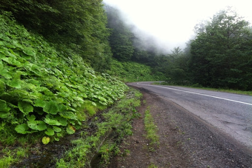 جاده‌های زیبای ایران