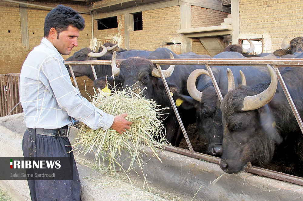 اقتصاد به روایت تصاویر ۲۴ شهریور ۹۹