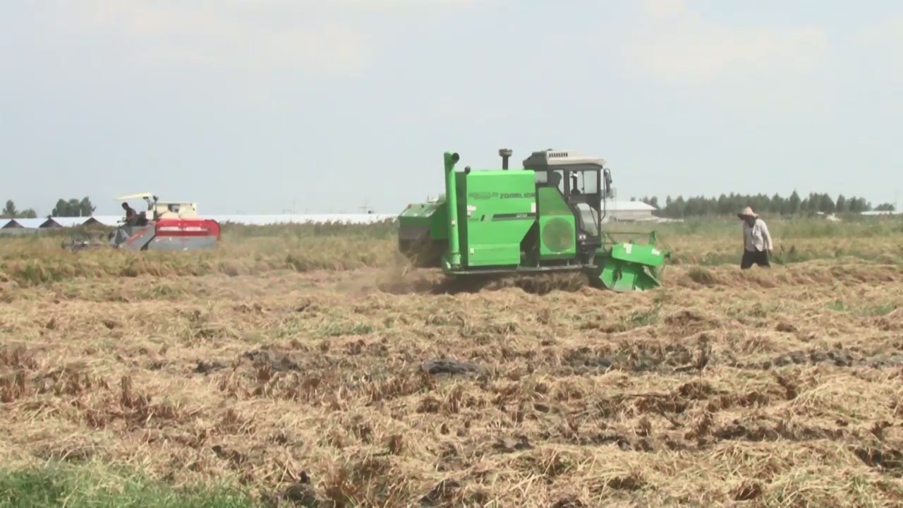 اجرای طرح معاینه فنی کمباین های مازندران