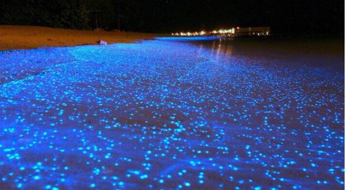 جاذبههای گردشگری جهان که مشابه آنها در ایران است جاذبههای گردشگری جهان که مشابه آنها در ایران است