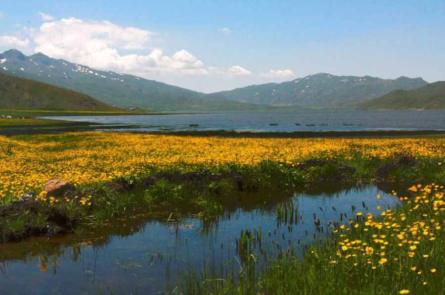 بزرگترین دریاچه آب شیرین کشور بزرگترین دریاچه آب شیرین کشور