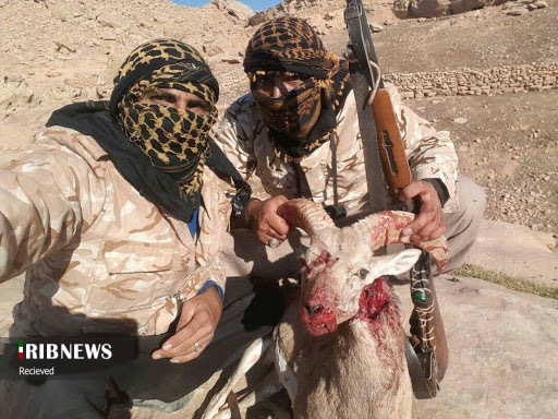 پناهگاهی که محل تهدید جان موجودات بی پناه شده 