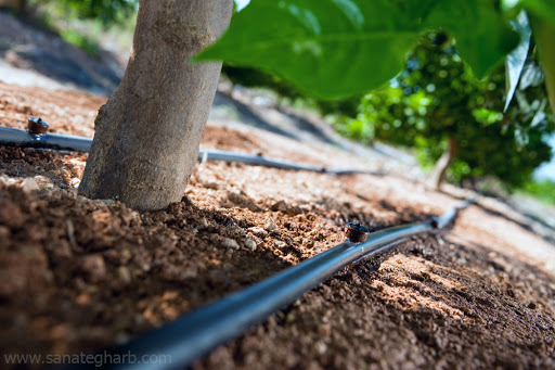 حمایت دولت از توسعه آبیاری نوین