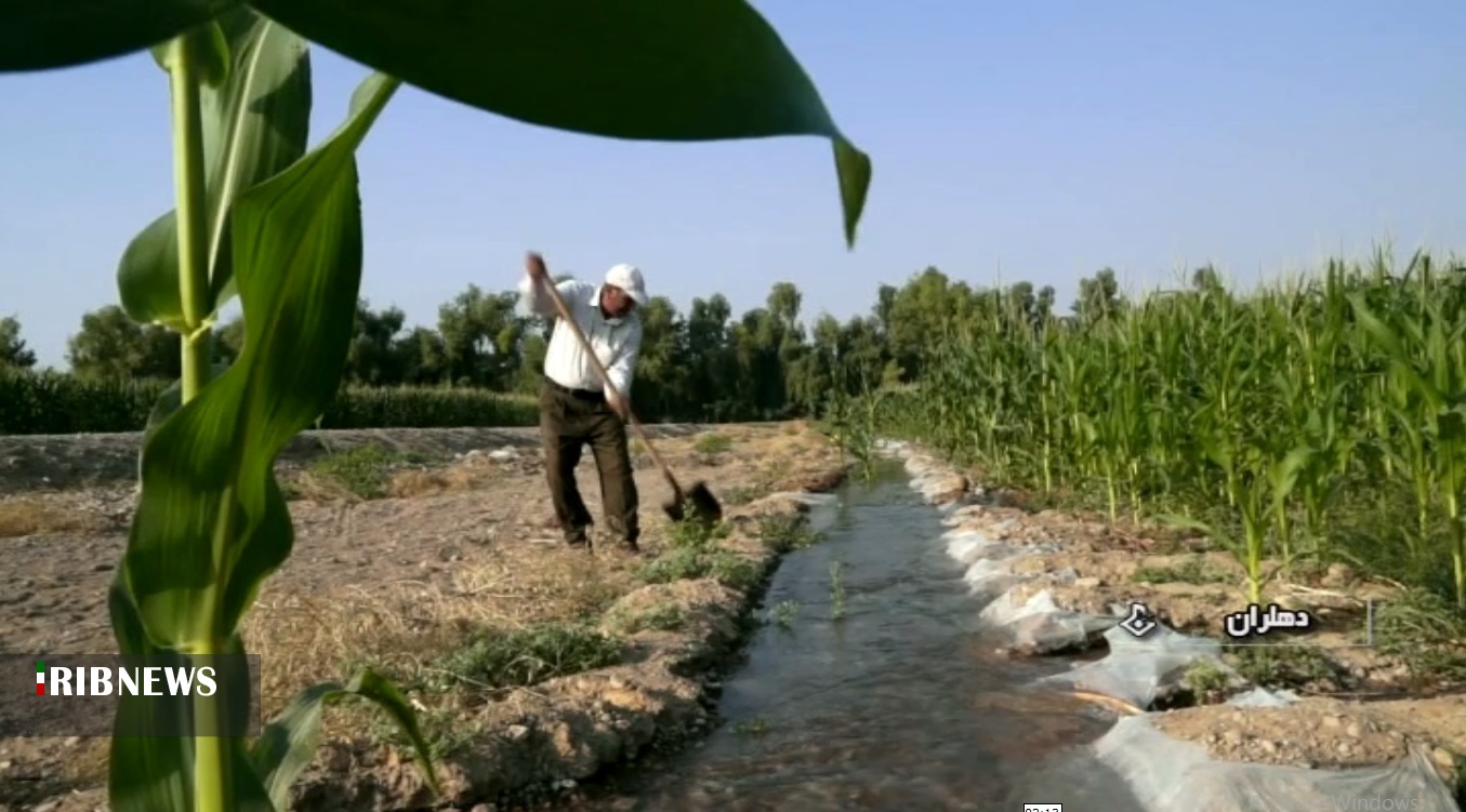 بهشتی در دل بیابان سوزان 