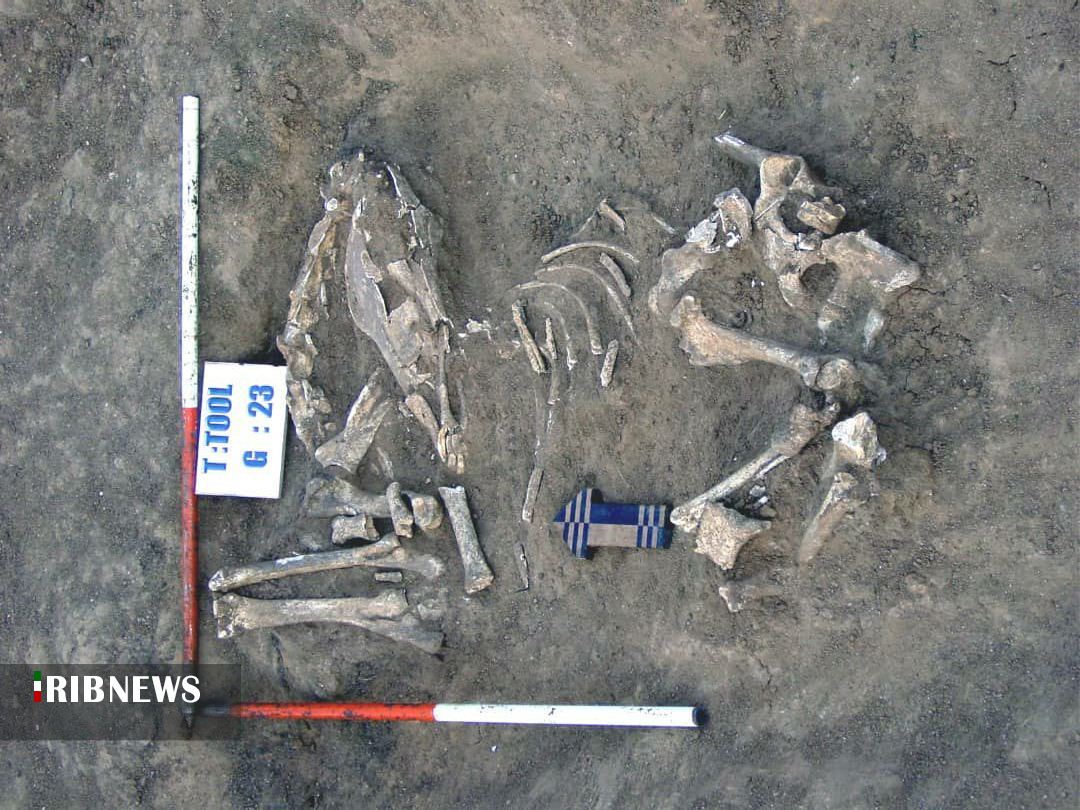 کاوش های باستانی، پنجمین فصل زمین برای واگویی تمدن