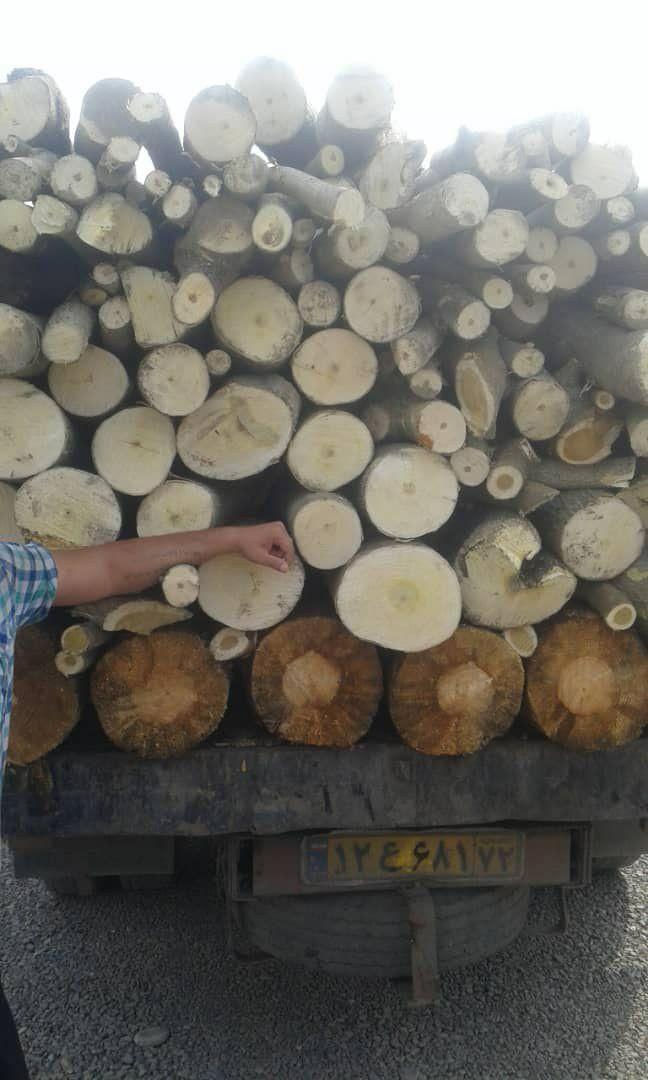کشف ۵ تن چوب جنگلی قاچاق در نور