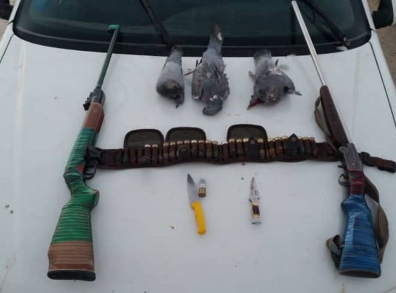 شناسایی 78 تخلف شکار و صید شناسایی 78 تخلف شکار و صید