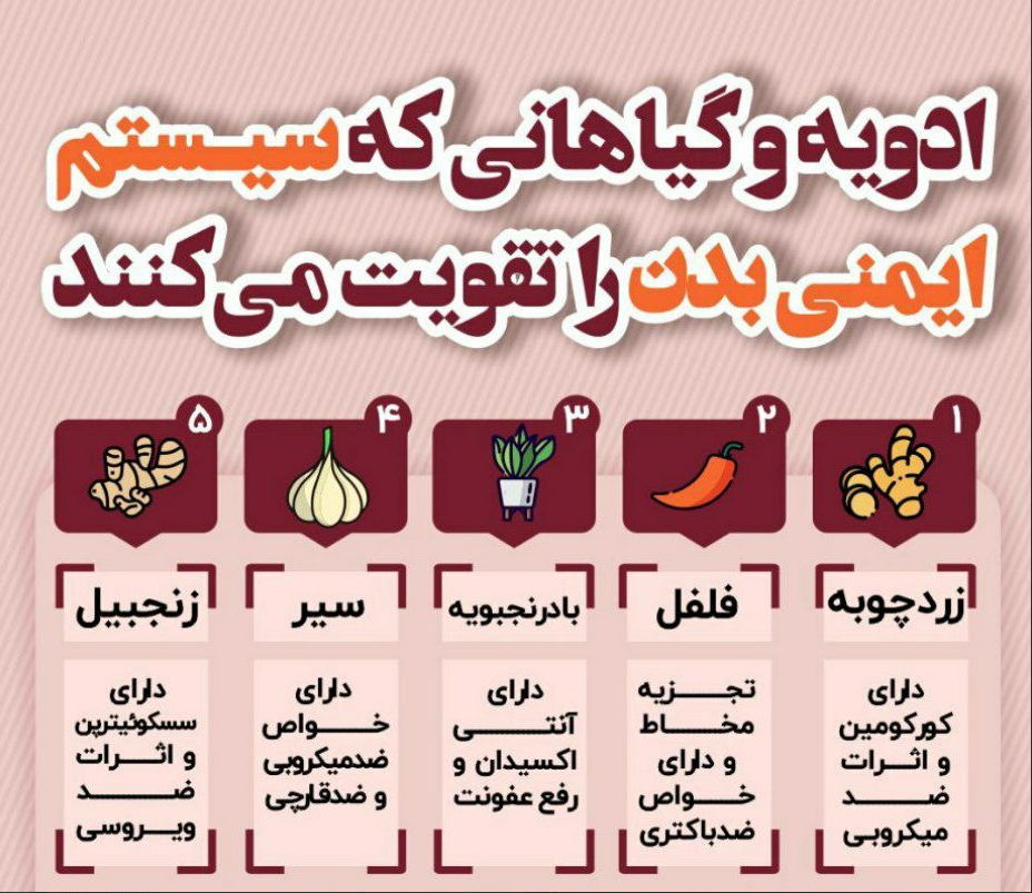 ادویه هایی مناسب برای سیستم ایمنی بدن ادویه هایی مناسب برای سیستم ایمنی بدن